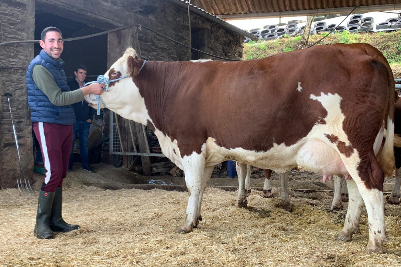 Manuel con Mint Evelina, Na primeira lactación produciuu 14836 kilos de leite e no que leva de segundo parto xa vai por 11456