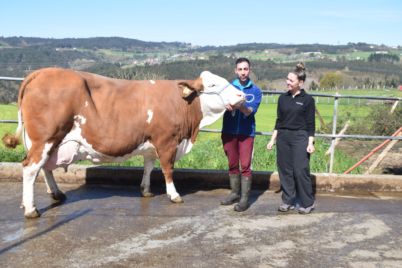 GANDERIA JUNQUERA COLMEIRO FLECKVIEH 1