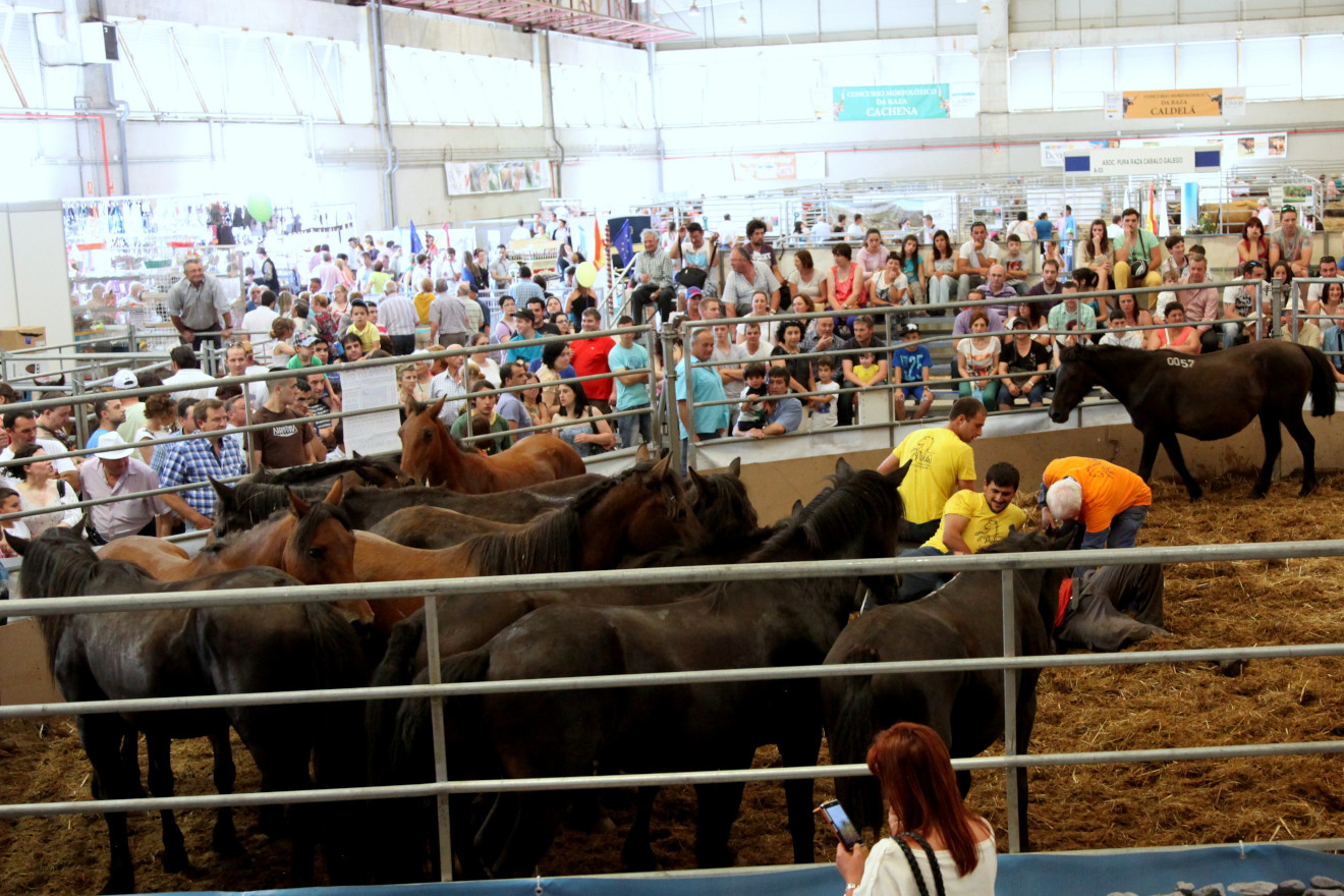 Rapa en feria Abanca Semana Verde 2014