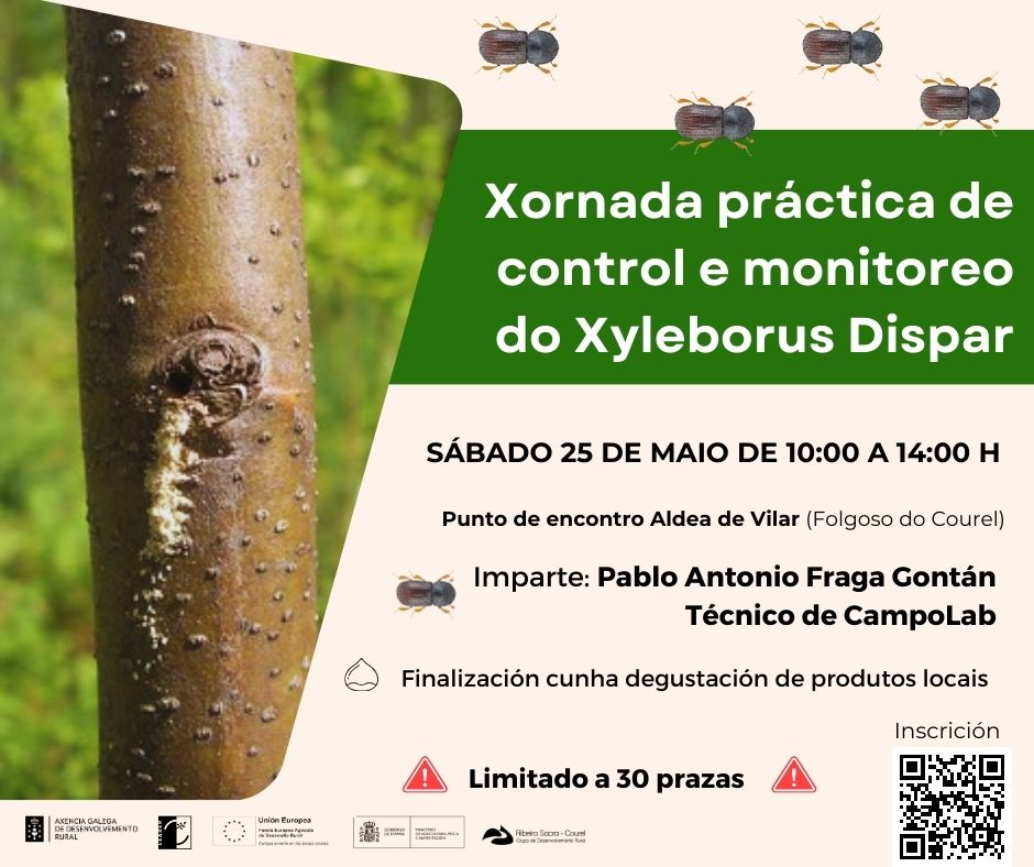 barrenador castiñeiro xornada