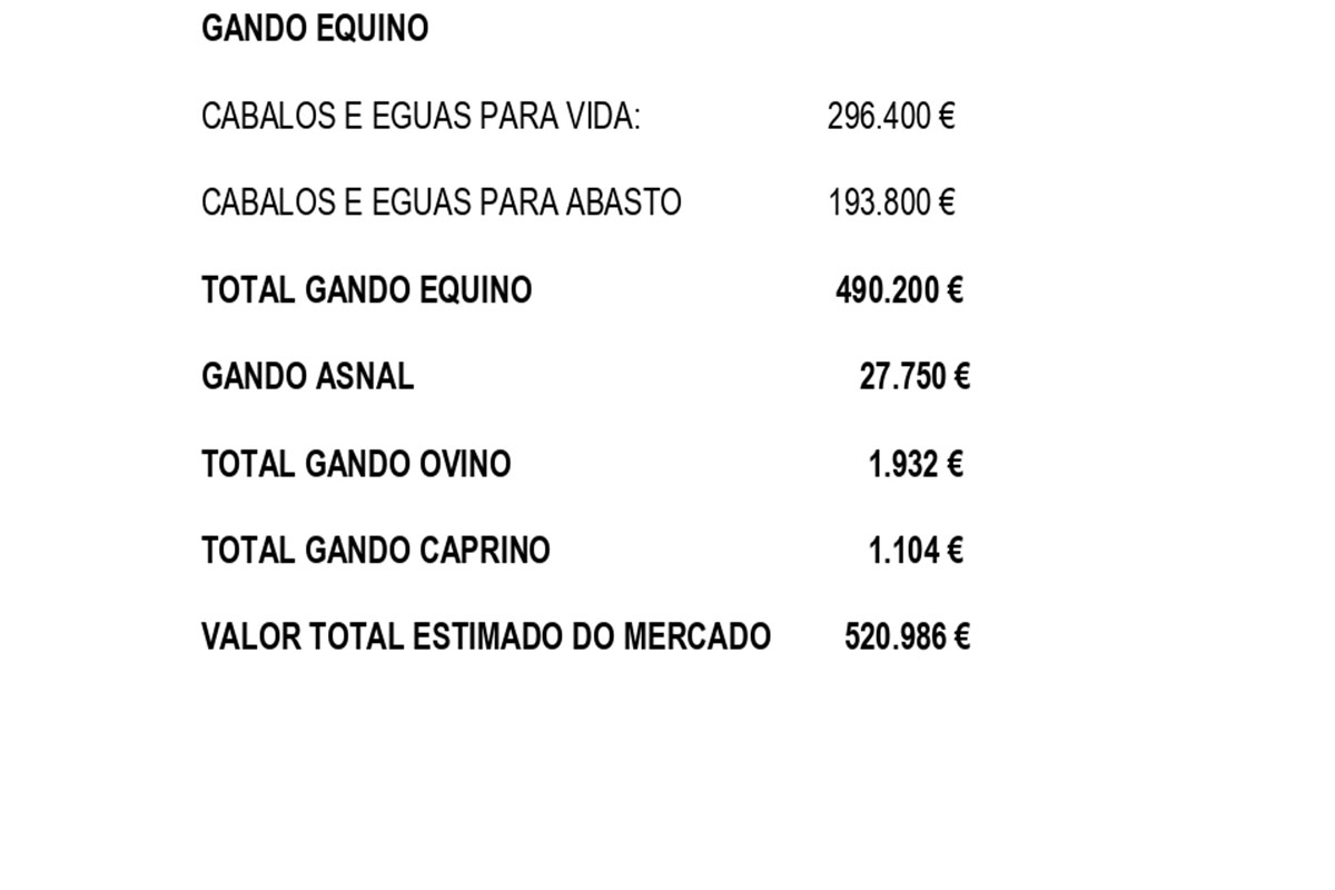 concorrencia e cotizacións 09.05