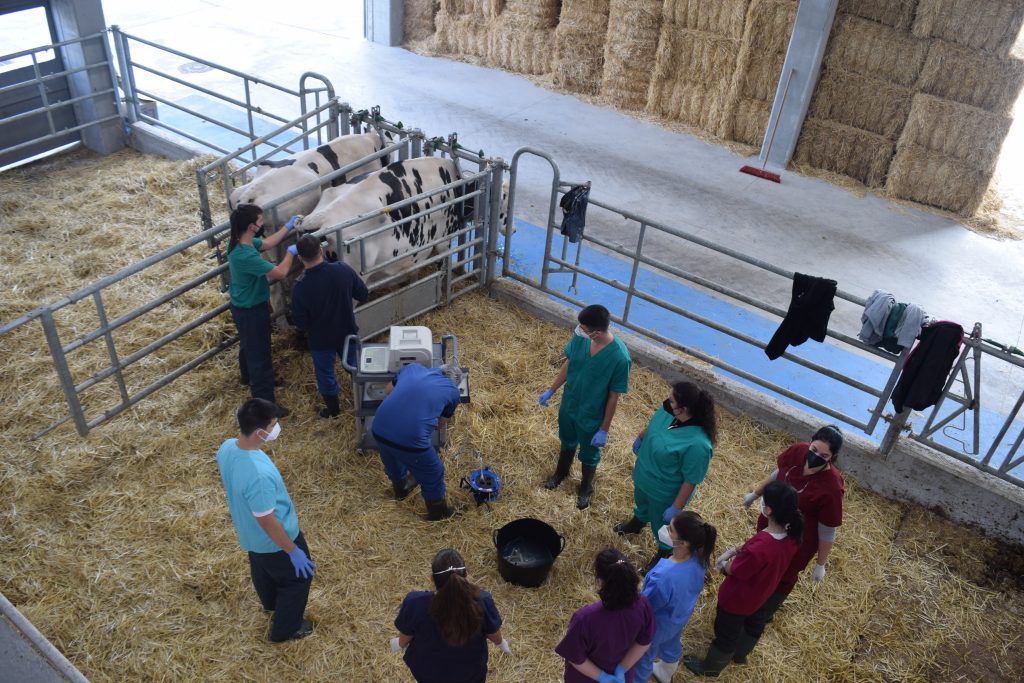 Alumnado da USC en prácticas na Granxa Experimental de Leite