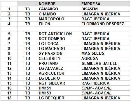 CIAM ENSAIO TRIGOS XINZO 24