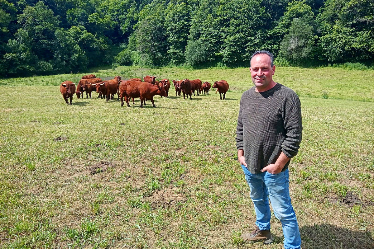 Jorge Valcárcel, cun dos catro lotres do seu rabaño de raza salers en Lamartín (Samos)