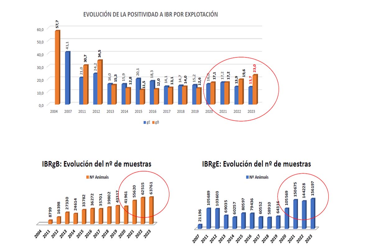 Evolución de Galicia en IBR. Gráfico de Ignacio Arnaiz 