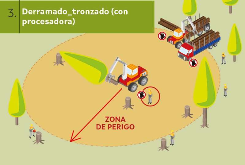 ISSGA aproveitamentos forestais 3