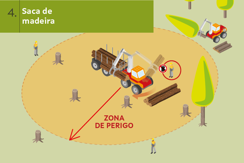 ISSGA aproveitamentos forestais 4