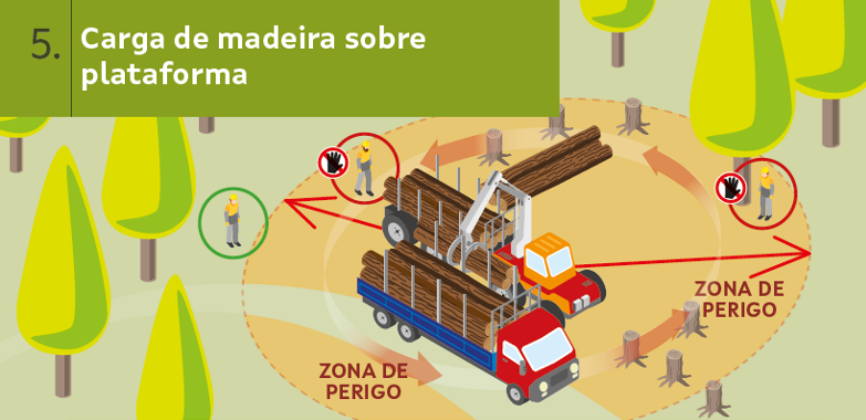 ISSGA aproveitamentos forestais 5