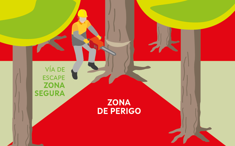 ISSGA aproveitamentos forestais 7