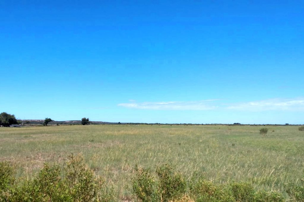 LA ELIDA (Argentina) pastizais