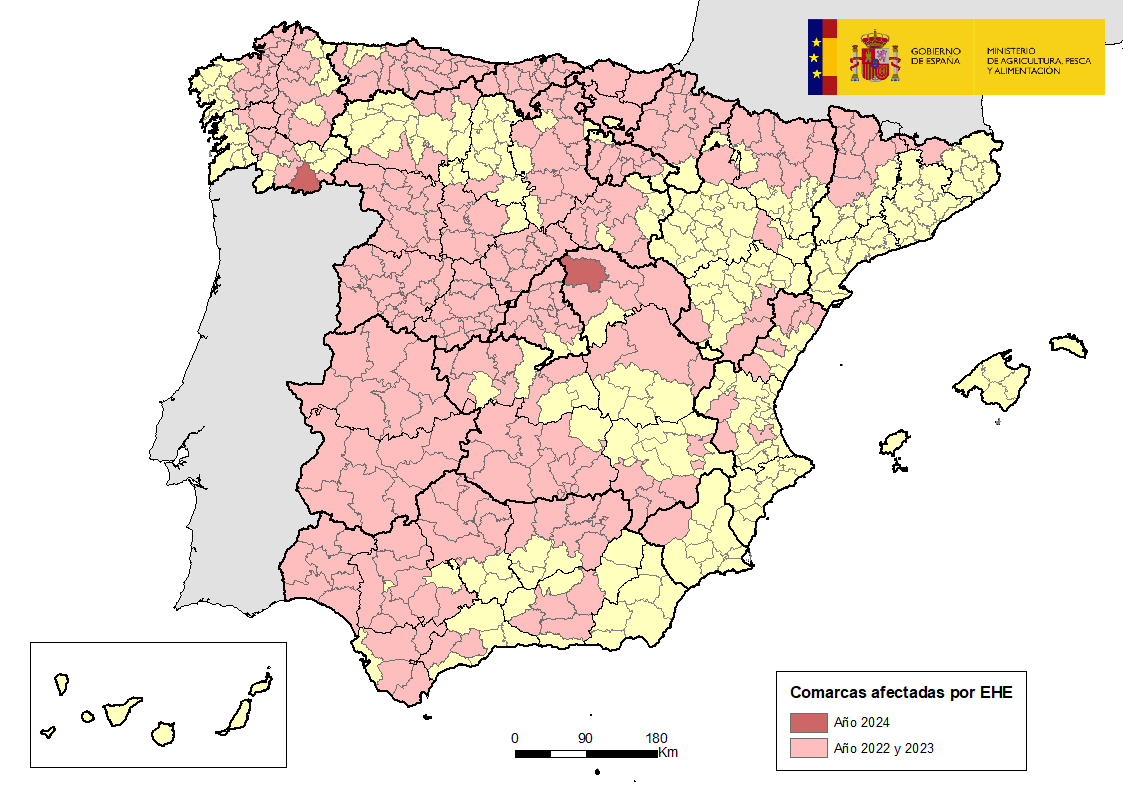 MAPA EHE SEgundo foco