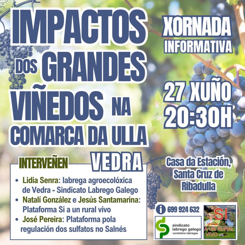 XornadaImpactosGrandesViñedos