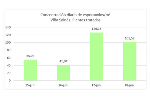 concentracion esporanxios mildio salnes areeiro