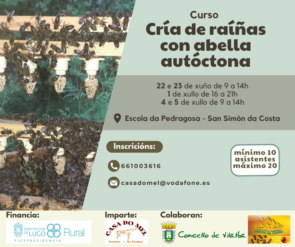 curso apicultura depu lugo 1