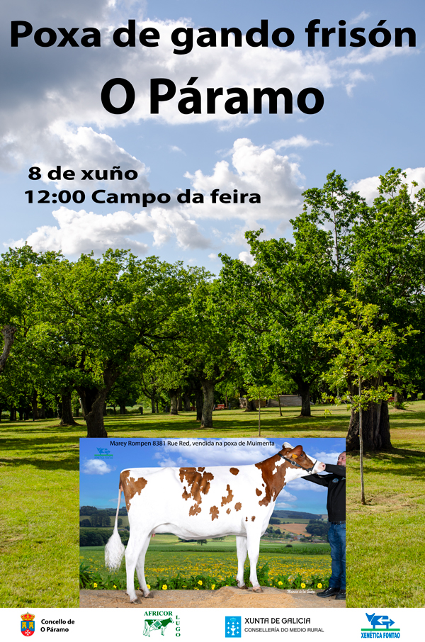 poxa o paramo 24