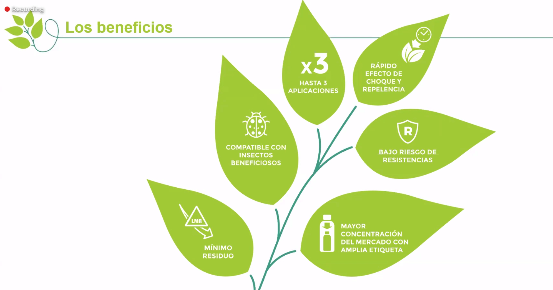 syngenta insecticida 1