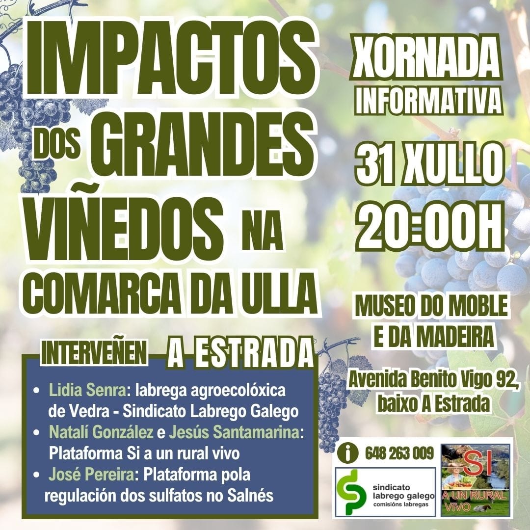 IMPACTOS GRANDES VIÑEDOS ULLA