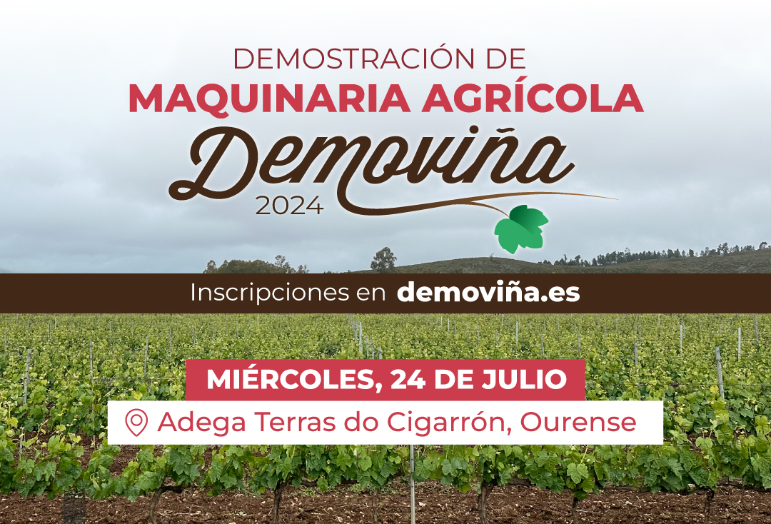 Imagen noticia Demovinha verin