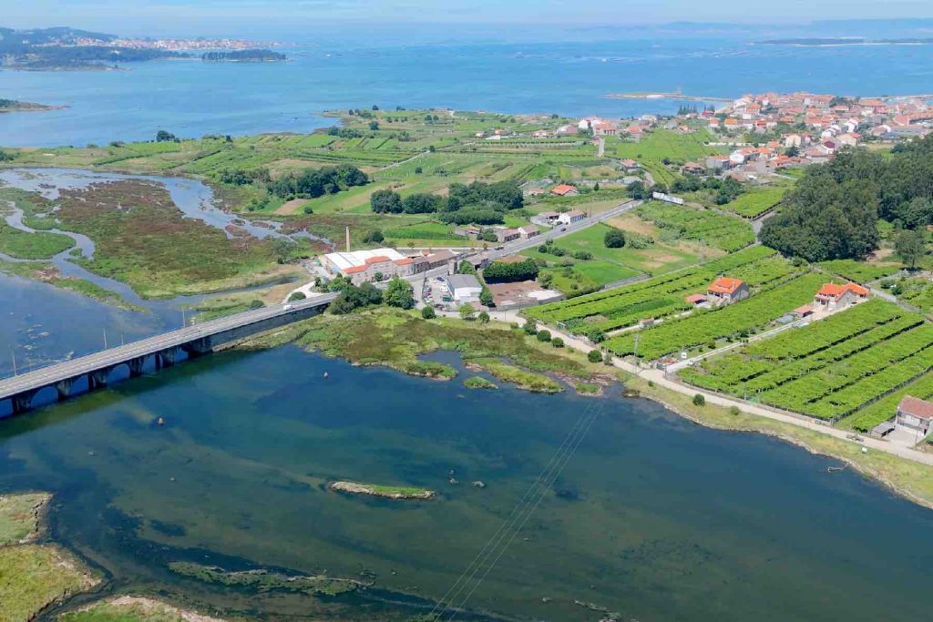 Imaxe aérea dunha zona de cultivo das Rías Baixas. / Fonte: Elaboración Propia