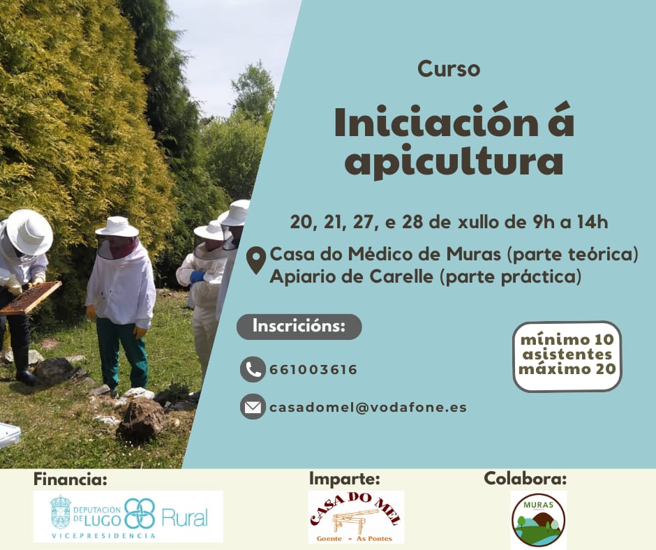Iniciación apicultura Muras