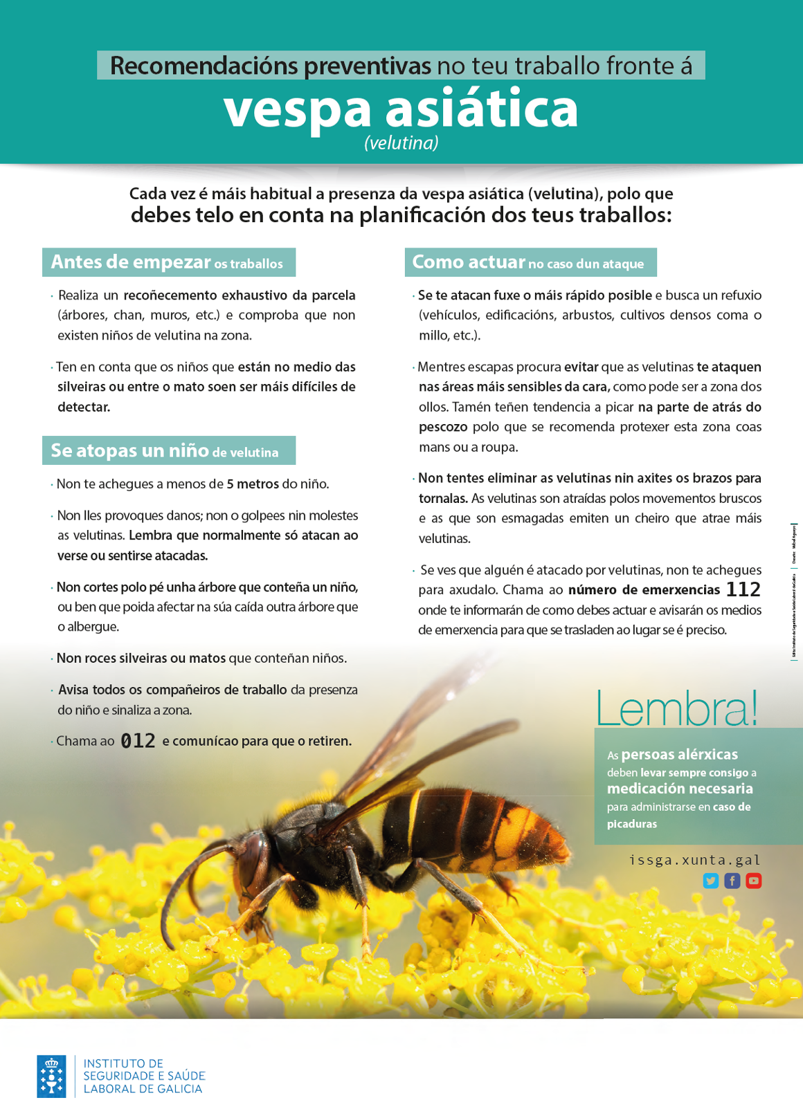 RECOMENDACIONS VELUTINA XUNTA