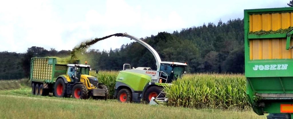 Dispoñen dunhas 40 hectáreas de superficie e o traballo agrario subcontrátano