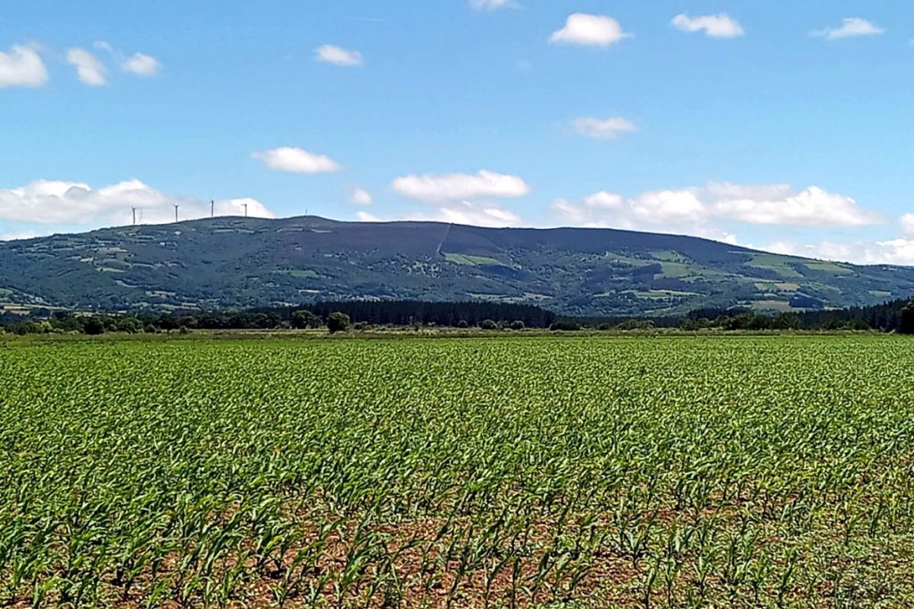 FORNO SC (Lancara) millo
