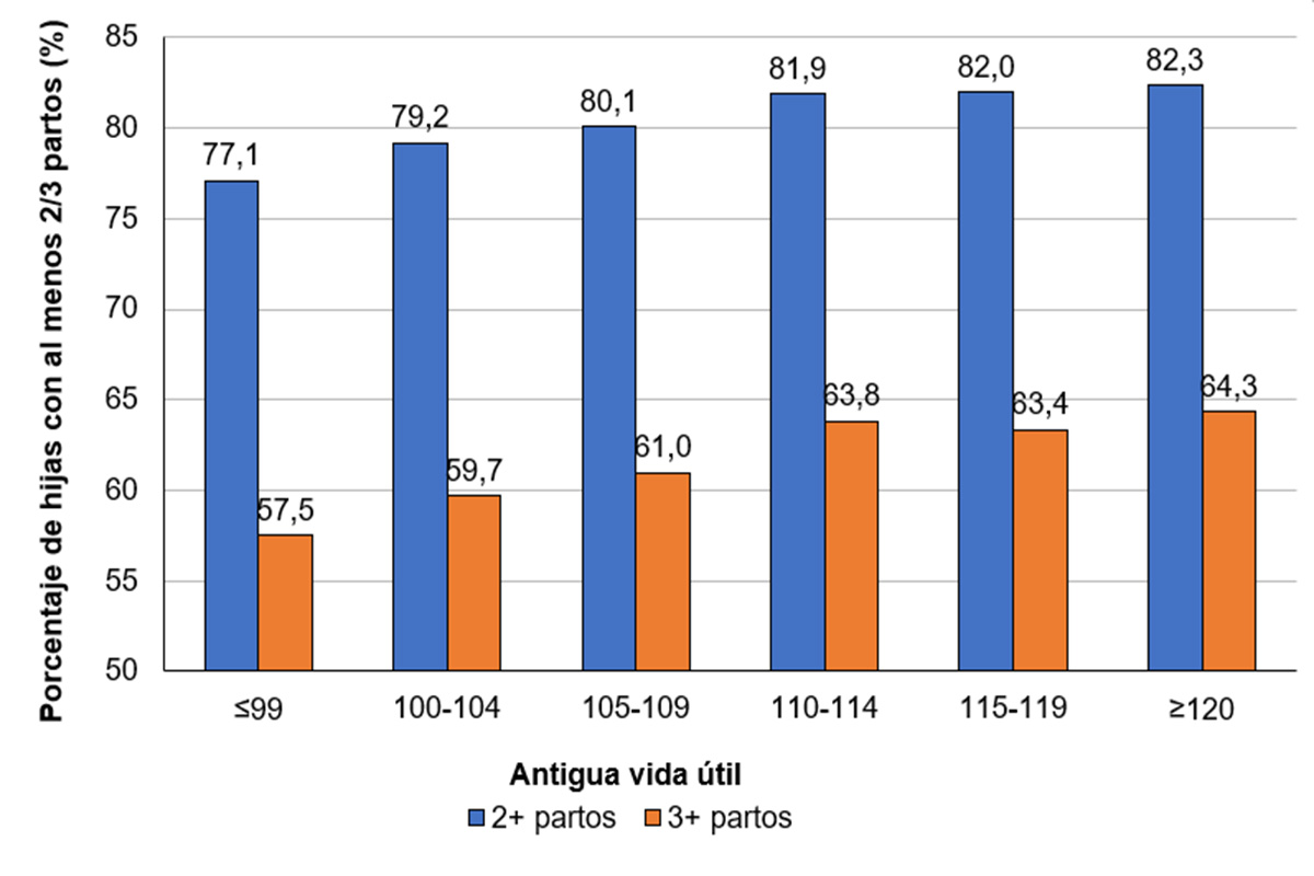 Imagen 1: Porcentaje de hijas que han alcanzado al menos el 2º o 3º parto (datos de abril 2024), agrupado por el histórico de los valores genéticos en un solo paso para la vida útil a partir de abril del 2021 como toro genómico (gO)