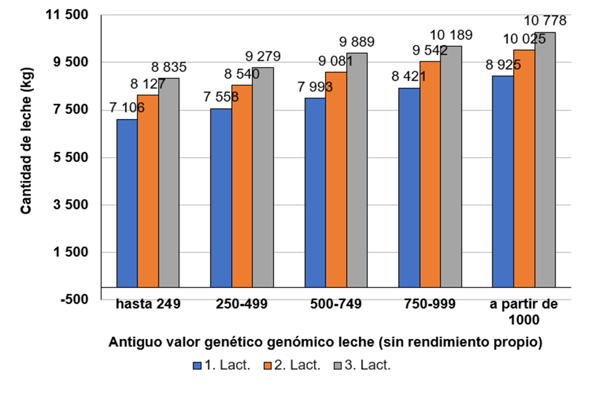 Imaxe 5: Rendemento lácteo medio (datos de abril 2024), agrupado polo histórico dos valores xenéticos nun só paso para a vida útil a partir de abril 2021 como bovino novo/xovenca