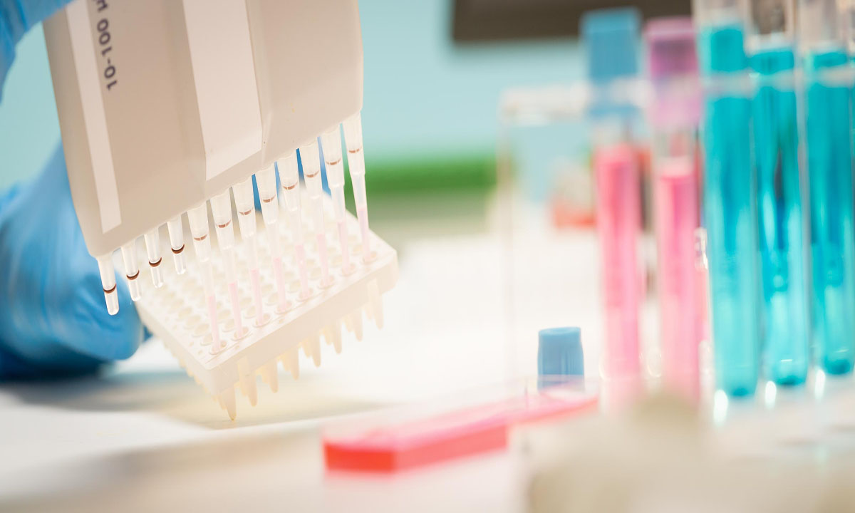 Foto de geneticAUSTRIA GmbH – ©Shutterstock
