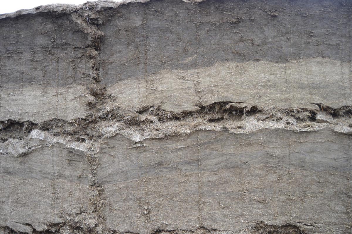 Silo de herba onde se aprecian os distintos cortes por cores. A media de proteína de todo o silo é do 13% .