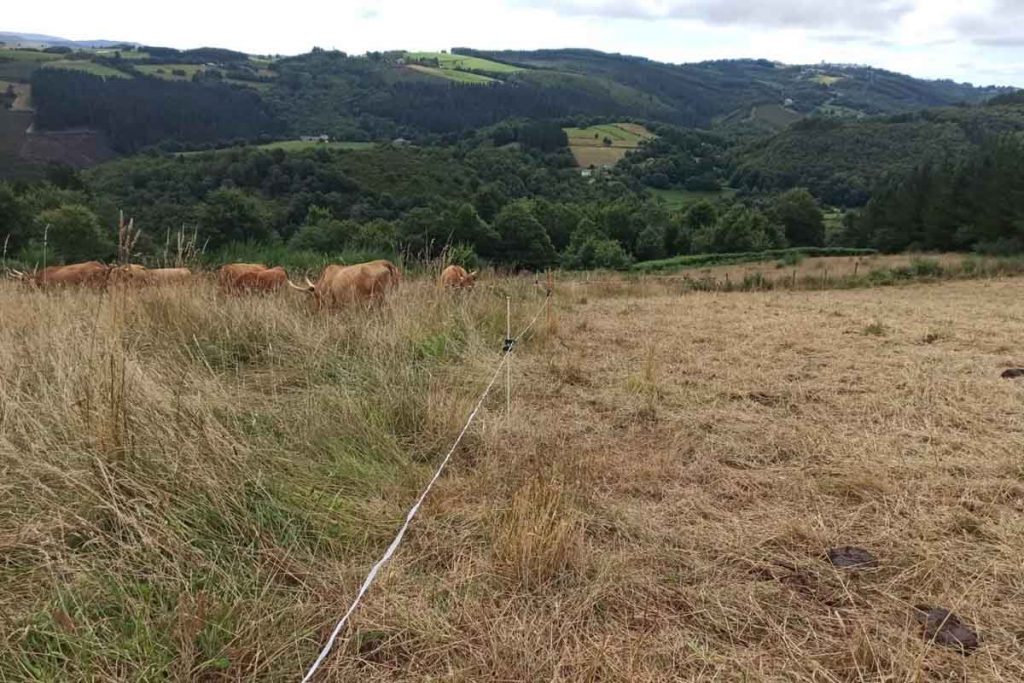 O antes e o despois da estancia do gando durante 3 días en cada recinto.