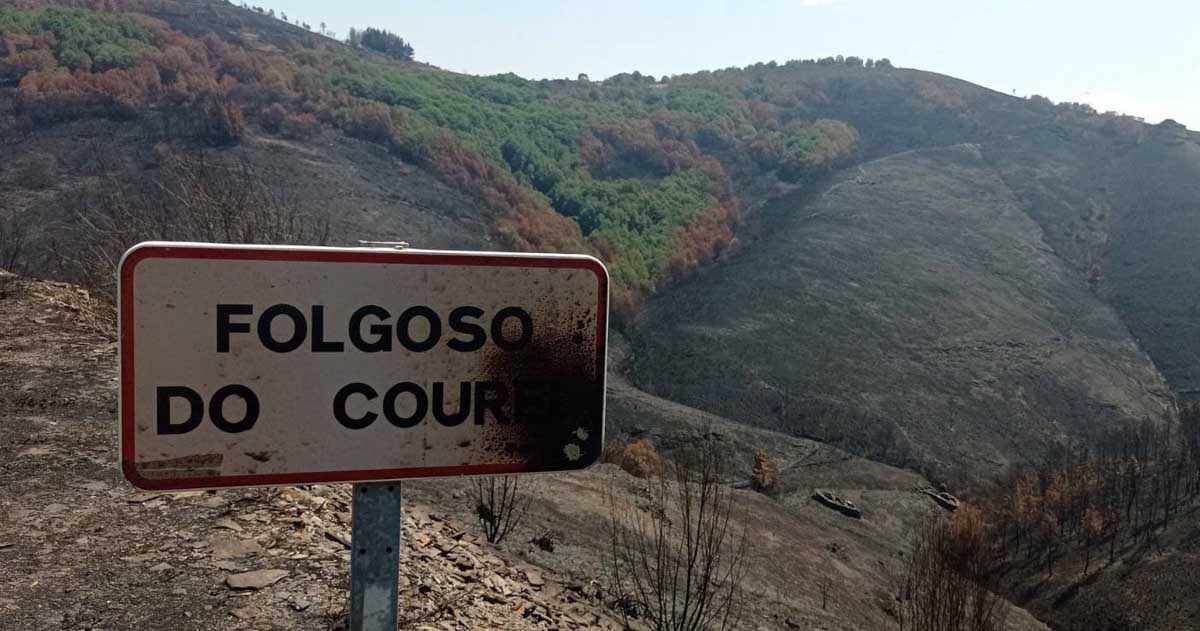 Robleda que sobrevivió al fuego en el Courel.
