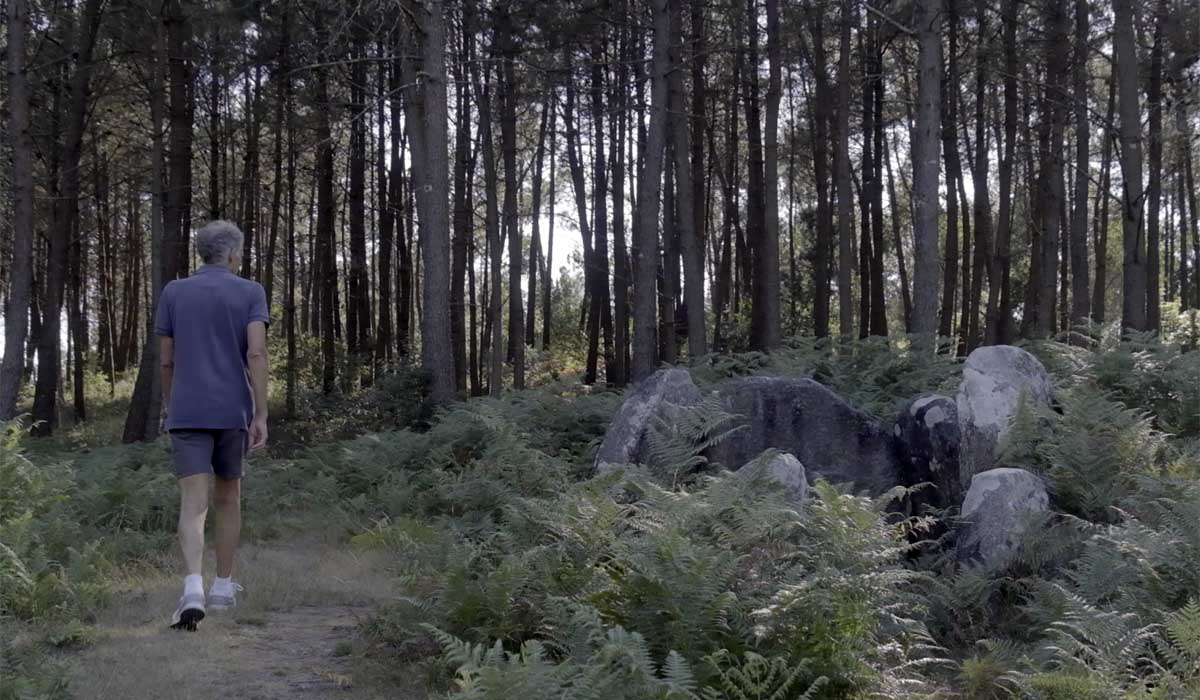 Unha das poucas mámoas visibles na comunidade de montes veciñais de Cabeiro.