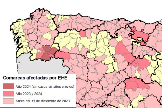 Mapa coas zonas afectadas de EHE, a 7 de agosto. Os focos do 2024 en Galicia limítanse por agora a Ourense.