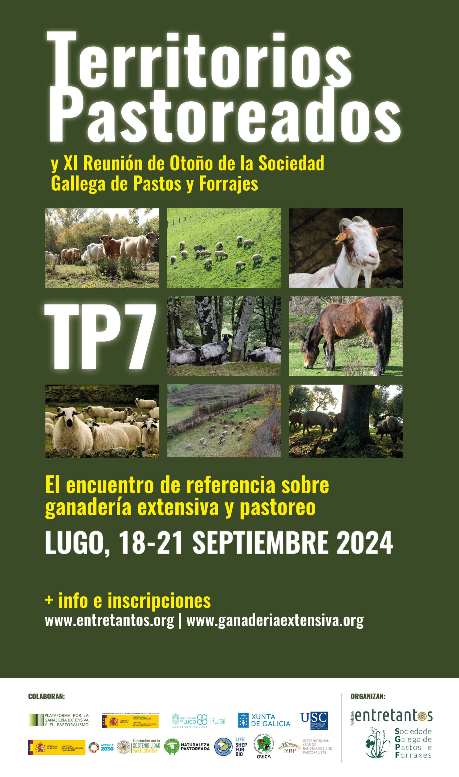 territorios pastoreados 24 cas.png