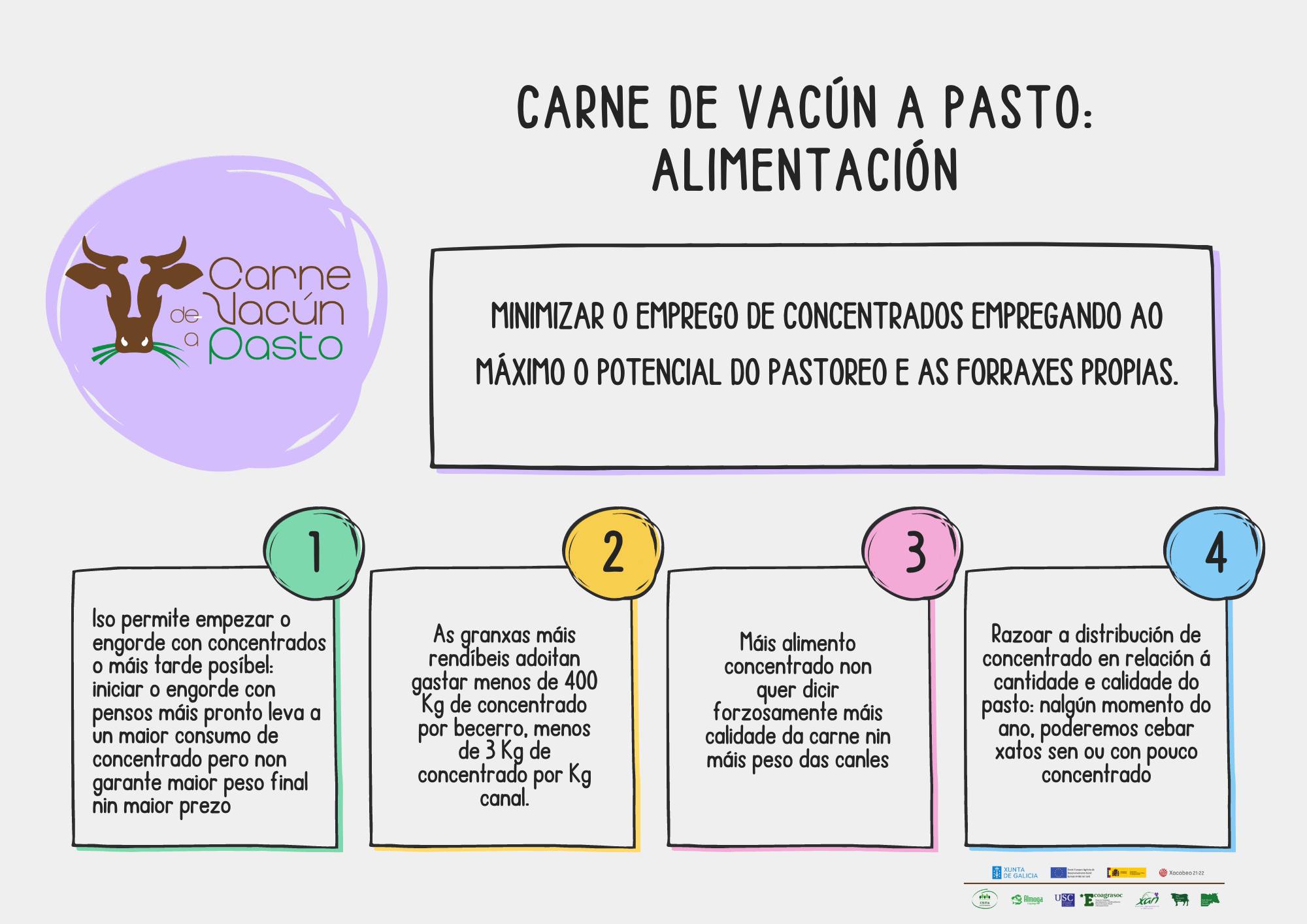 CARNE DE VACUN A PASTO CONCLUSIONS 1