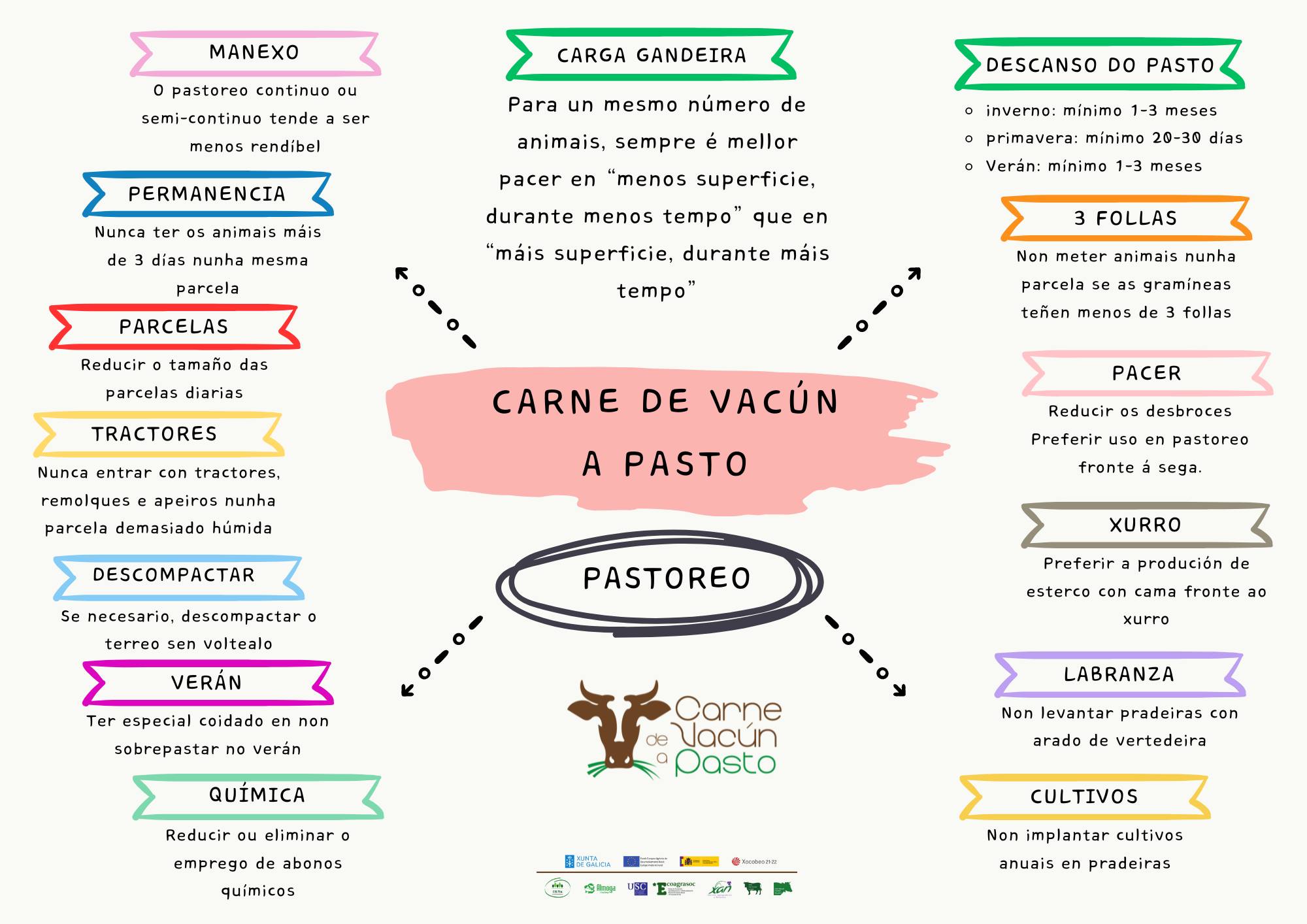CARNE DE VACUN A PASTO CONCLUSIONS 2