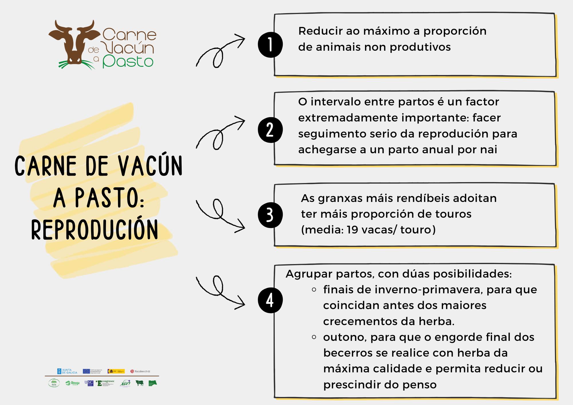 CARNE DE VACUN A PASTO CONCLUSIONS 3