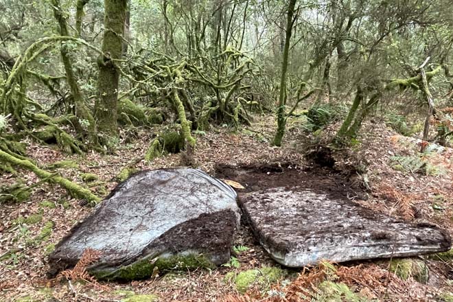 Colchones abandonados en el monte vecinal de Paraños, en Covelo.