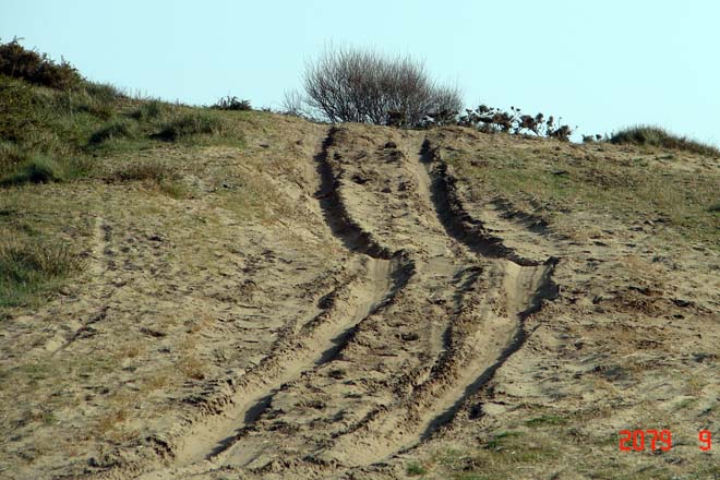 Pista forestal afectada por la circulación de todo terrenos.