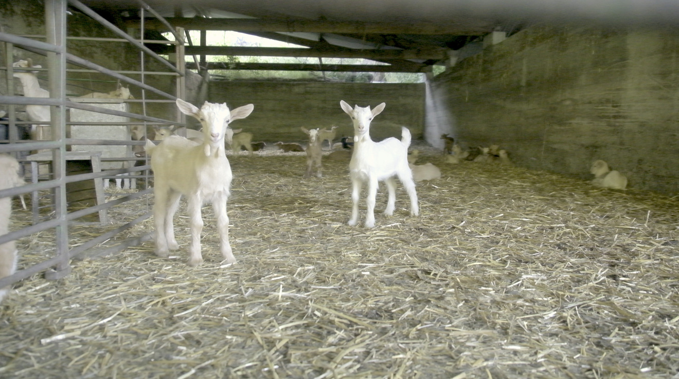 Captura de pantalla 2024-06-19 a las 11.26.15