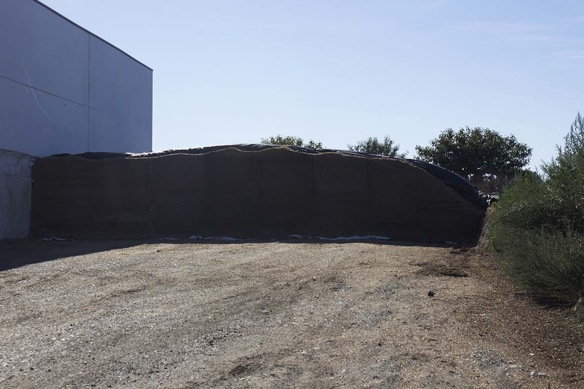 Silo situado xunto a nave nova dos xurros