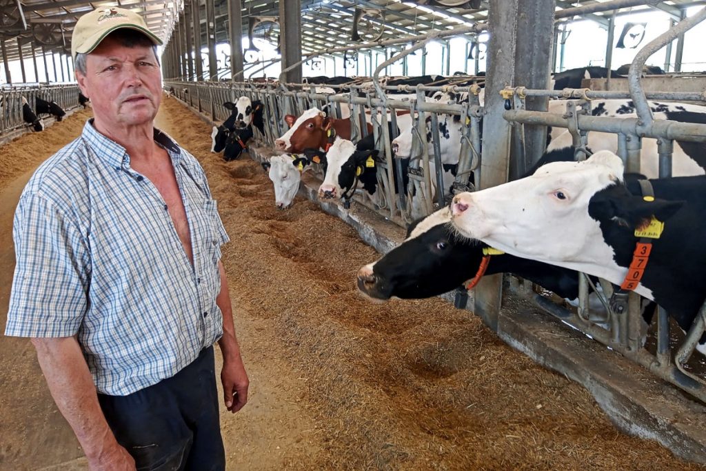 César Silva, xunto ás vacas da gandería familiar situada na zona centro de Portugal