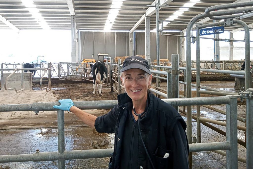 USC Granxa Experimental de Leite Gayoso Castro Marta Miranda Veterinaria