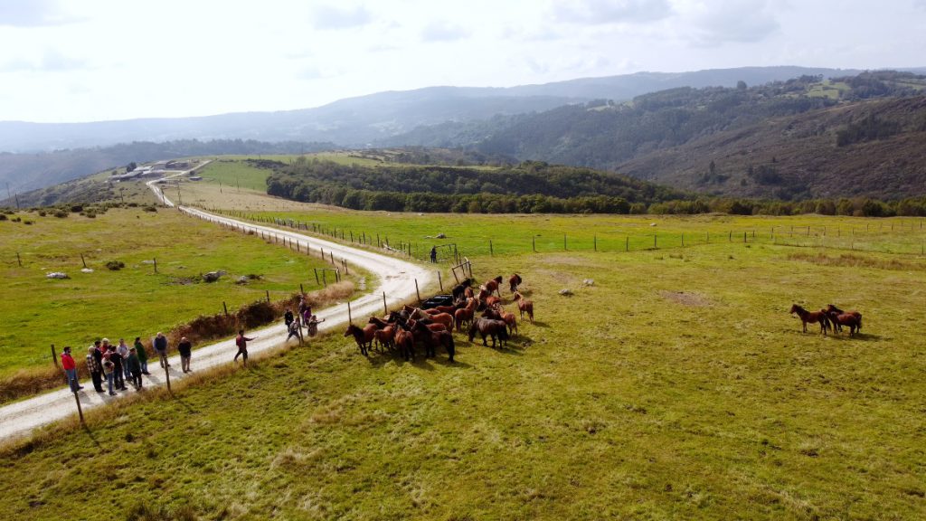 Visita aos montes comunais en man común de Abadín dentro do programa das xornadas