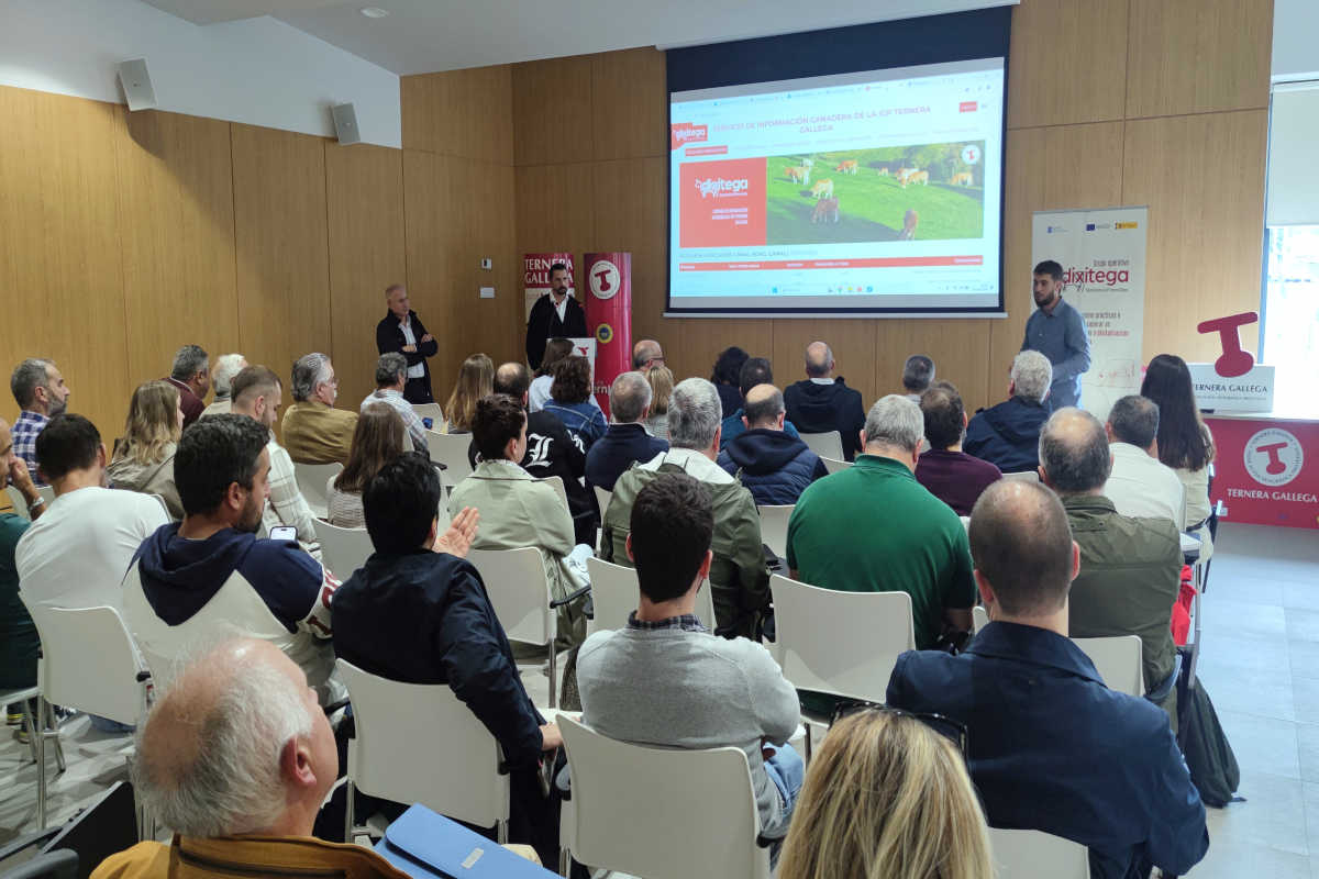 Presentación de dixitega.com