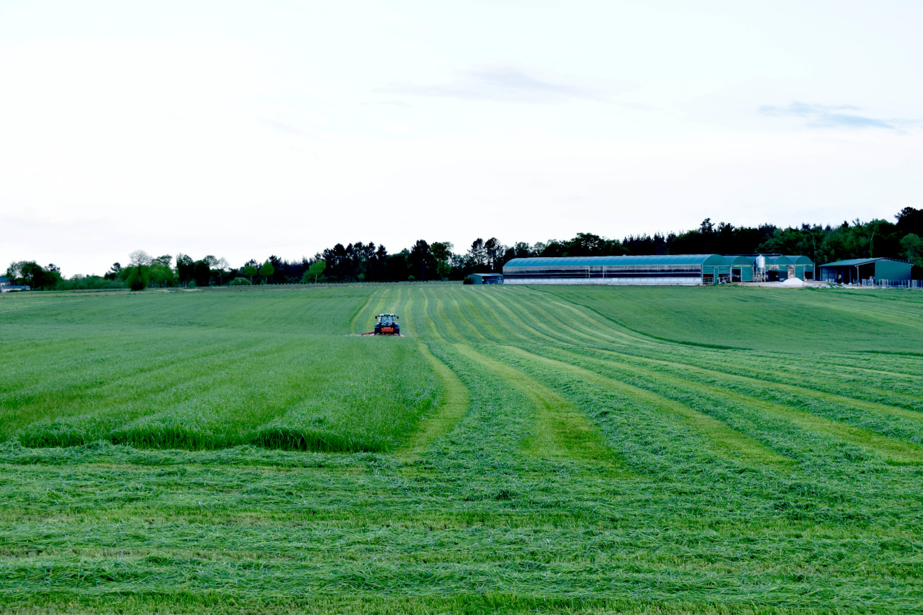 ensilado pradeira herba DELAGRO 1