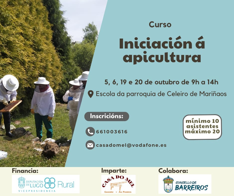 Cartaz Barreiros iniciacion apicultura