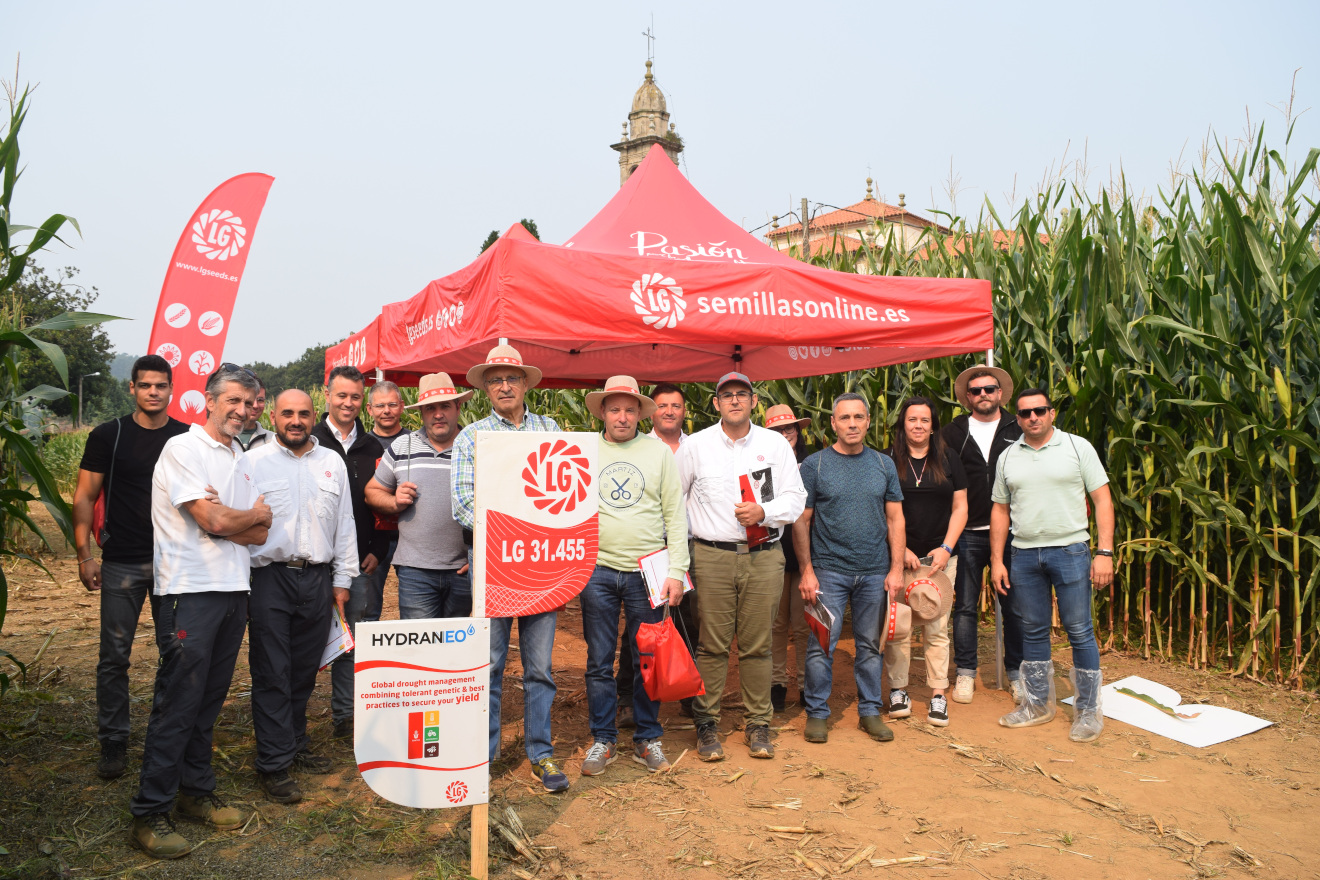 LG MILLO BOQUEIXON grupo